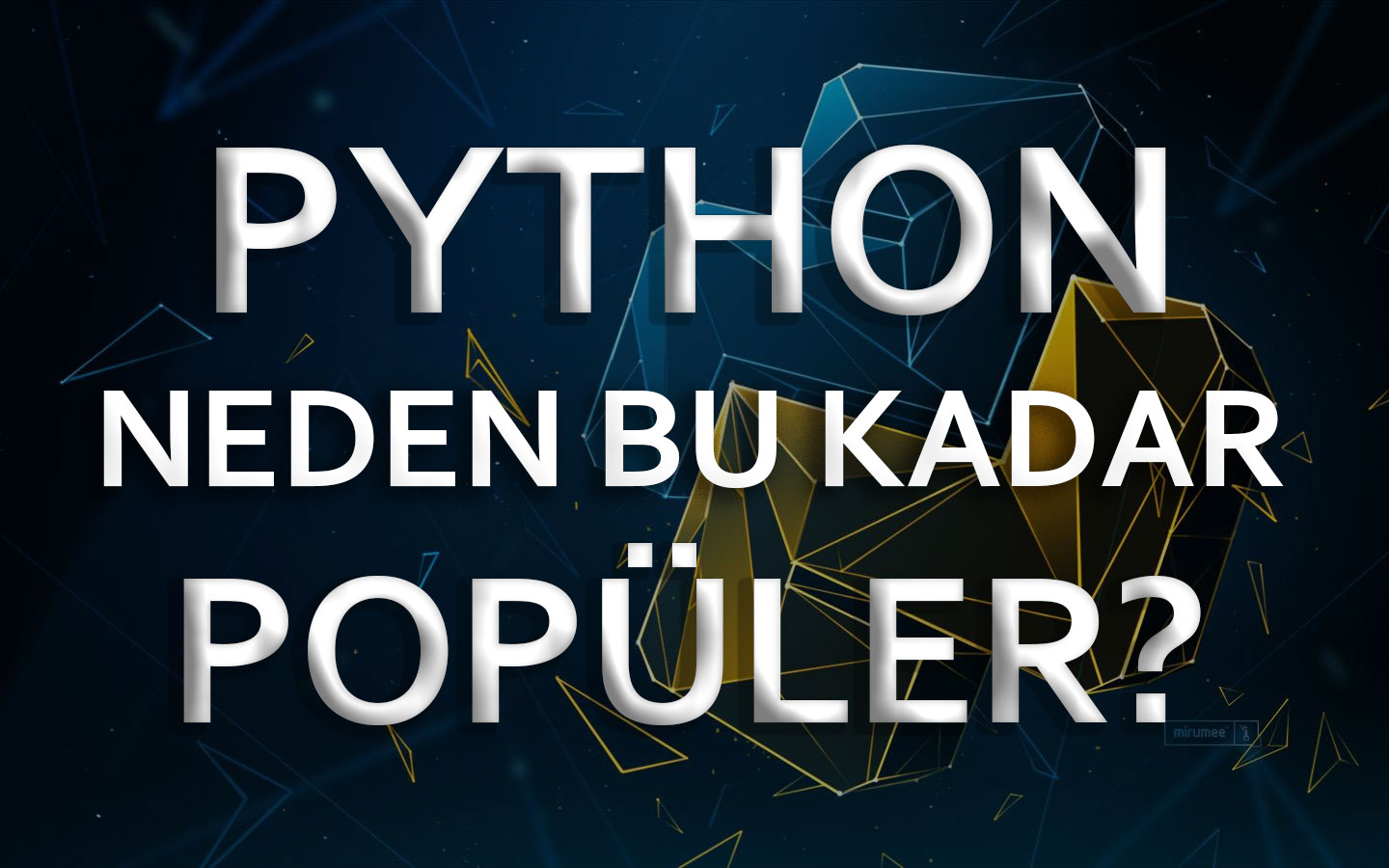 Python Neden Bu Kadar Popüler - Türk Programcılar
